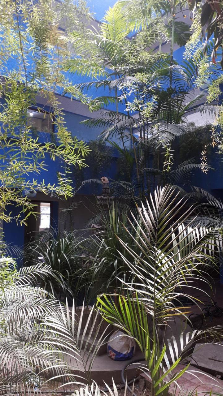 Hotel Kasa Kamelot 2 Quetzaltenango Dış mekan fotoğraf
