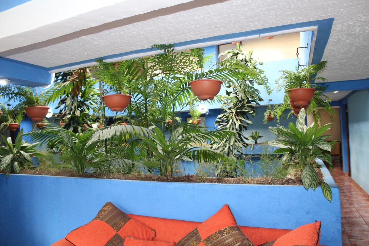 Hotel Kasa Kamelot 2 Quetzaltenango Dış mekan fotoğraf