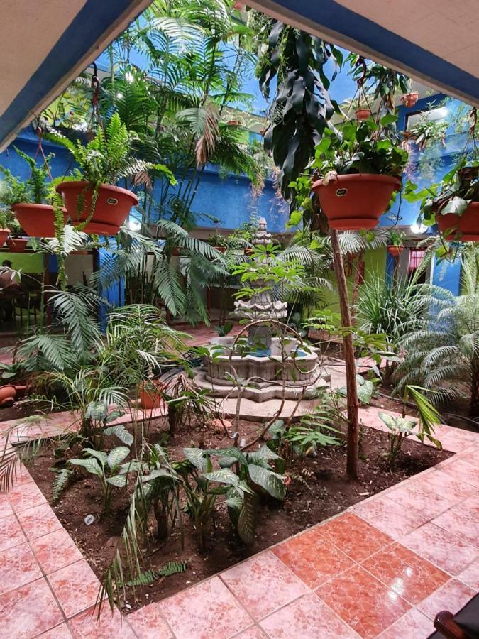 Hotel Kasa Kamelot 2 Quetzaltenango Dış mekan fotoğraf