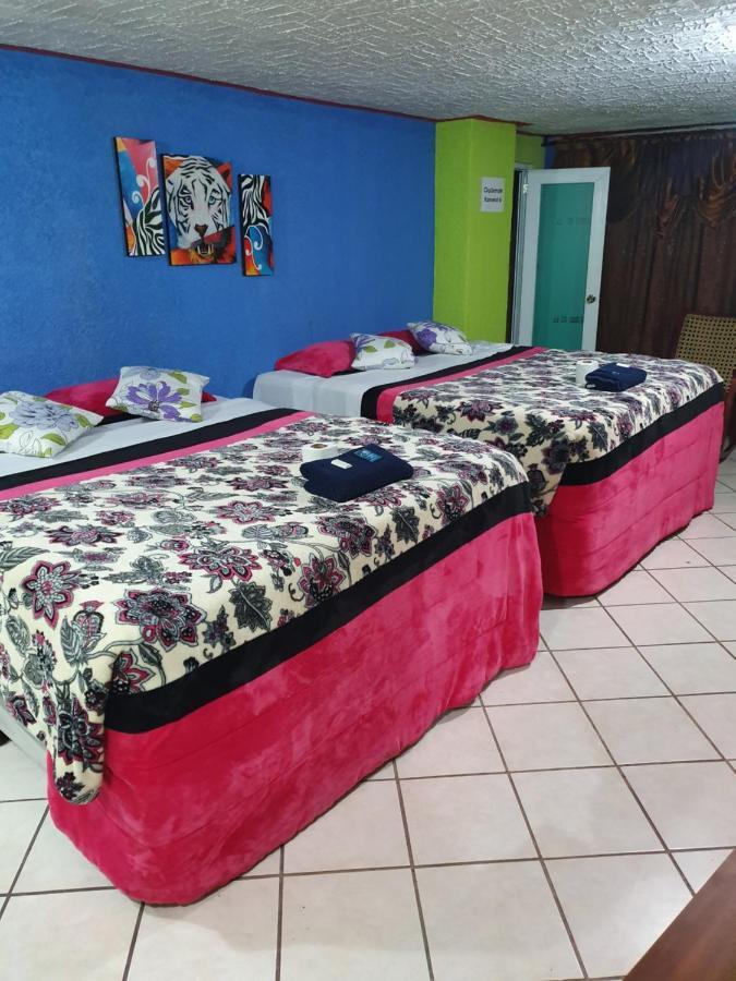 Hotel Kasa Kamelot 2 Quetzaltenango Dış mekan fotoğraf